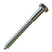 Lag Screws