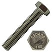 Grade 18-8 SS Tap Bolts