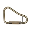 Fall Protection Carabiners